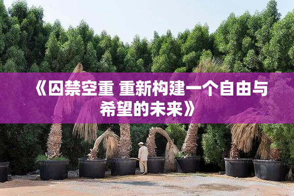 《囚禁空重 重新构建一个自由与希望的未来》