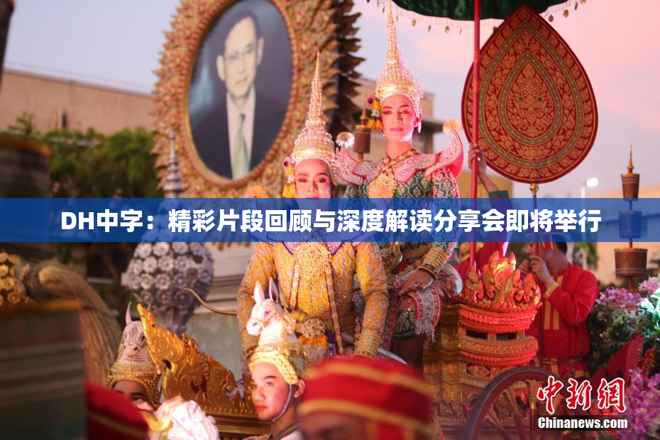DH中字：精彩片段回顾与深度解读分享会即将举行