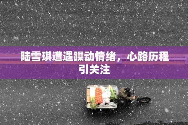 陆雪琪遭遇躁动情绪，心路历程引关注