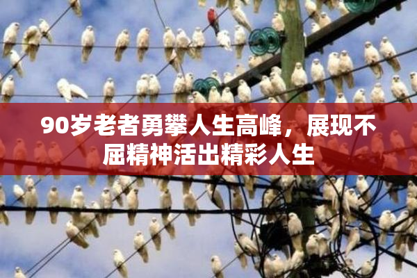 90岁老者勇攀人生高峰，展现不屈精神活出精彩人生