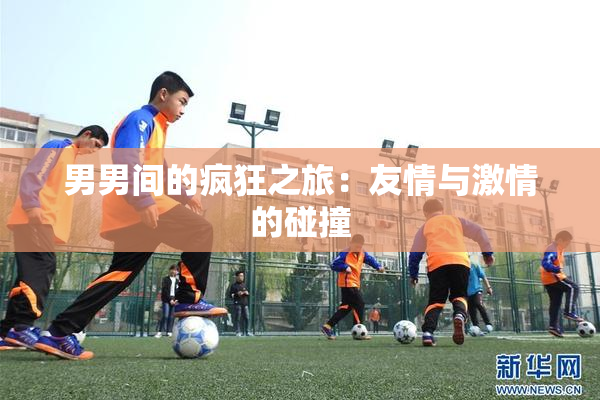男男间的疯狂之旅：友情与激情的碰撞