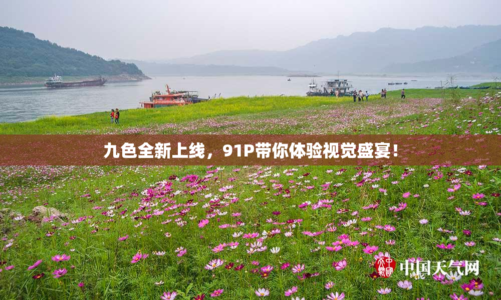 九色全新上线，91P带你体验视觉盛宴！