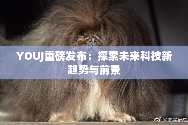 YOUJ重磅发布：探索未来科技新趋势与前景