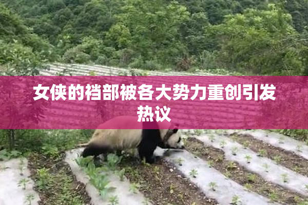 女侠的裆部被各大势力重创引发热议