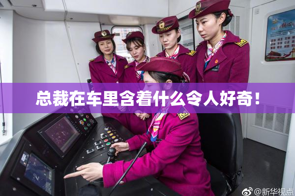 总裁在车里含着什么令人好奇！