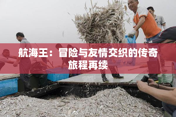 航海王：冒险与友情交织的传奇旅程再续