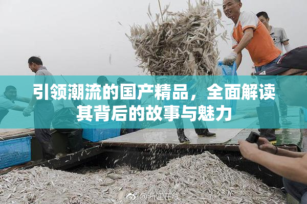 引领潮流的国产精品，全面解读其背后的故事与魅力