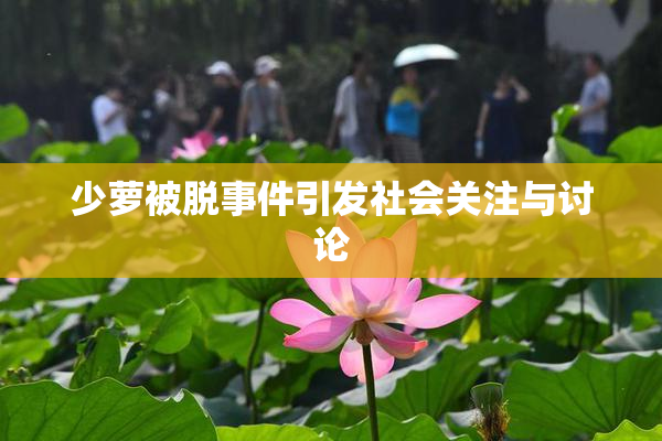 少萝被脱事件引发社会关注与讨论