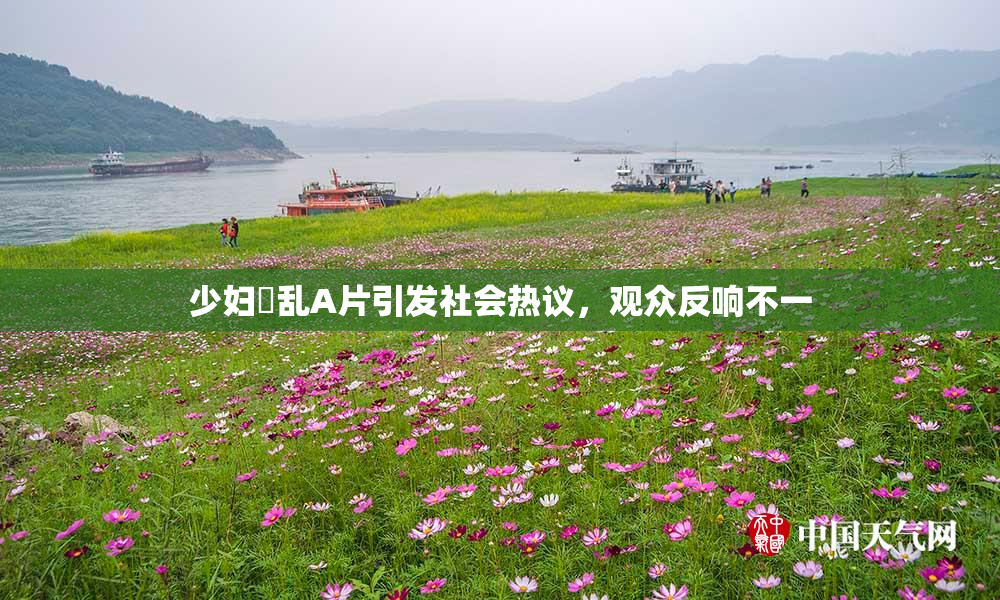 少妇婬乱A片引发社会热议，观众反响不一