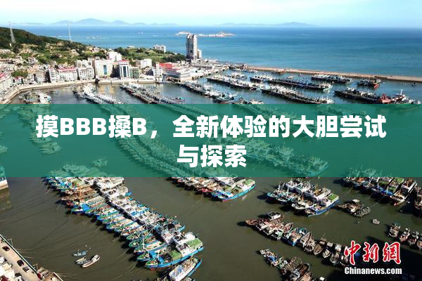 摸BBB搡B，全新体验的大胆尝试与探索
