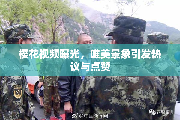 樱花视频曝光，唯美景象引发热议与点赞