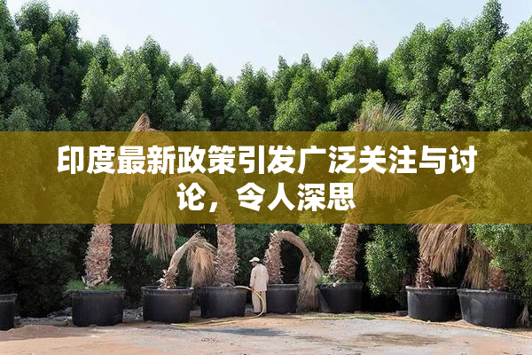 印度最新政策引发广泛关注与讨论，令人深思