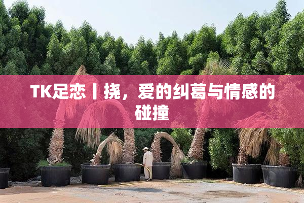 TK足恋丨挠，爱的纠葛与情感的碰撞