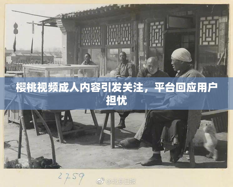 樱桃视频成人内容引发关注，平台回应用户担忧