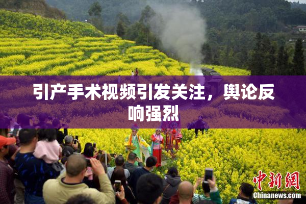 引产手术视频引发关注，舆论反响强烈