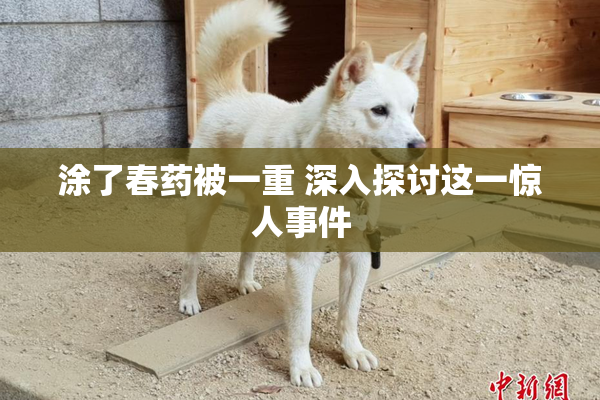 涂了春药被一重 深入探讨这一惊人事件