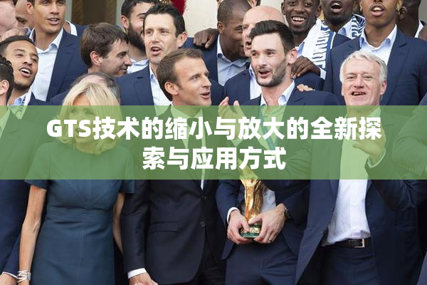 GTS技术的缩小与放大的全新探索与应用方式