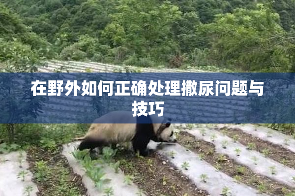 在野外如何正确处理撒尿问题与技巧