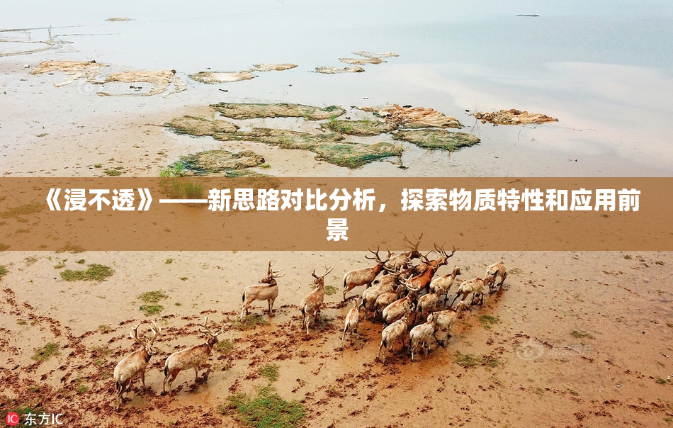 《浸不透》——新思路对比分析，探索物质特性和应用前景