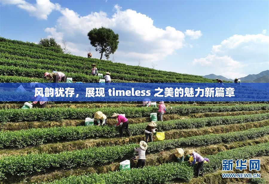 风韵犹存，展现 timeless 之美的魅力新篇章