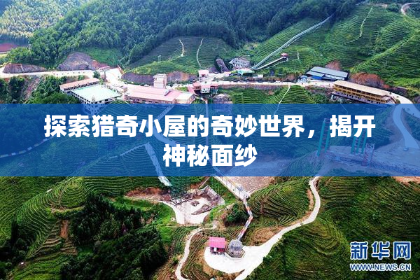 探索猎奇小屋的奇妙世界，揭开神秘面纱