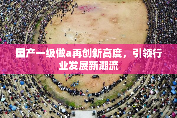 国产一级做a再创新高度，引领行业发展新潮流