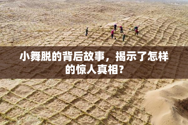 小舞脱的背后故事，揭示了怎样的惊人真相？