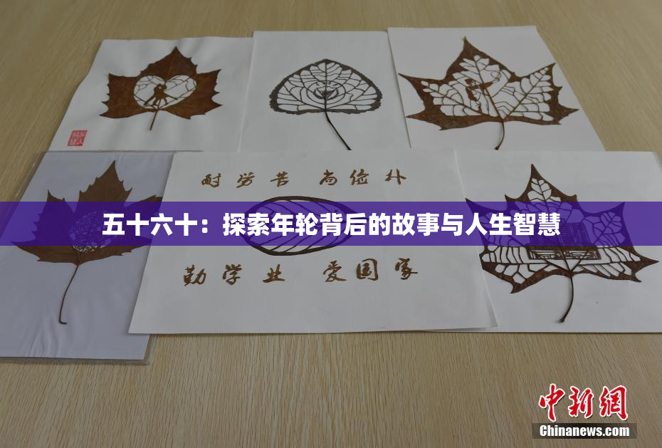 五十六十：探索年轮背后的故事与人生智慧