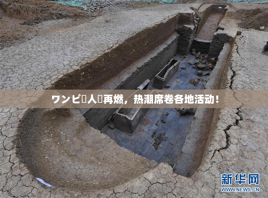 ワンピー人気再燃，热潮席卷各地活动！