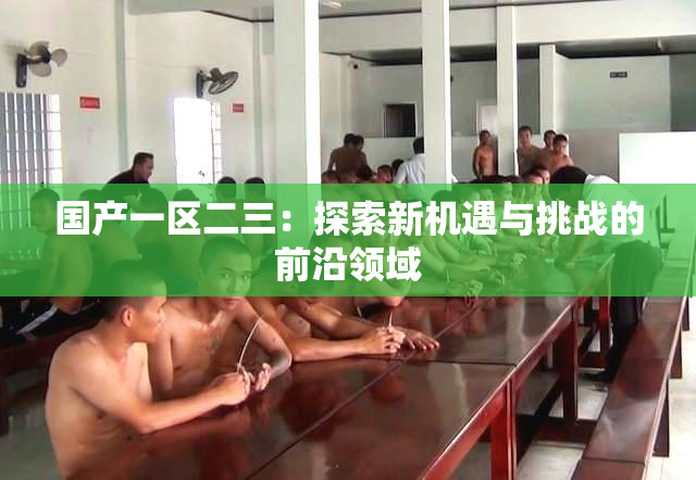 国产一区二三：探索新机遇与挑战的前沿领域