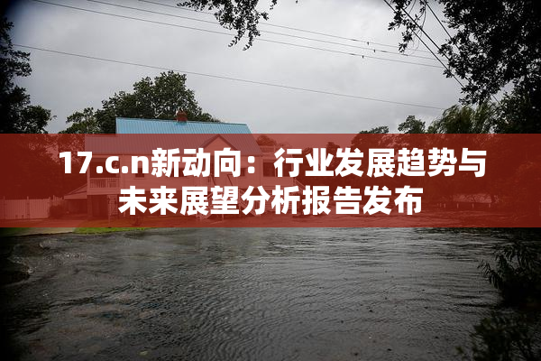 17.c.n新动向：行业发展趋势与未来展望分析报告发布