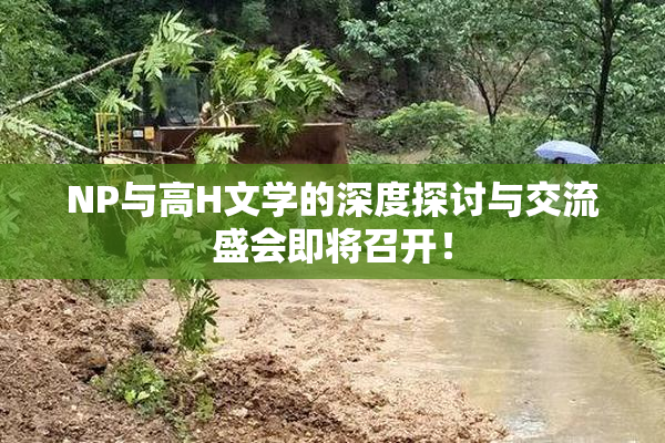NP与高H文学的深度探讨与交流盛会即将召开！