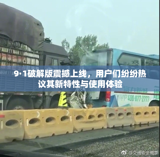 9·1破解版震撼上线，用户们纷纷热议其新特性与使用体验