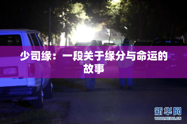 少司缘：一段关于缘分与命运的故事