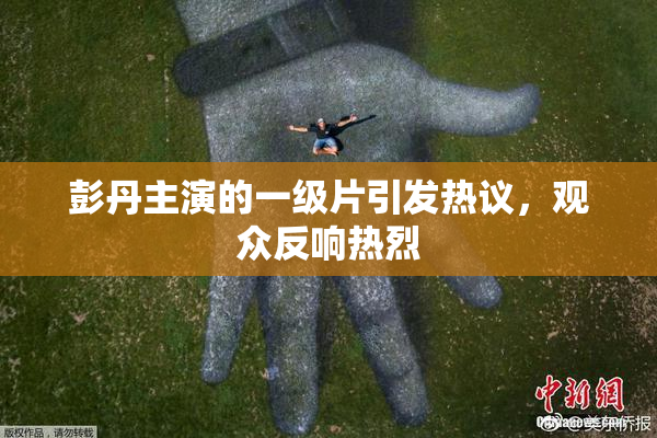 彭丹主演的一级片引发热议，观众反响热烈