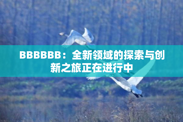 BBBBBB：全新领域的探索与创新之旅正在进行中