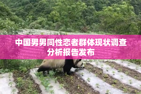 中国男男同性恋者群体现状调查分析报告发布