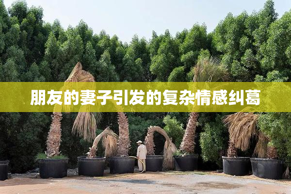 朋友的妻子引发的复杂情感纠葛
