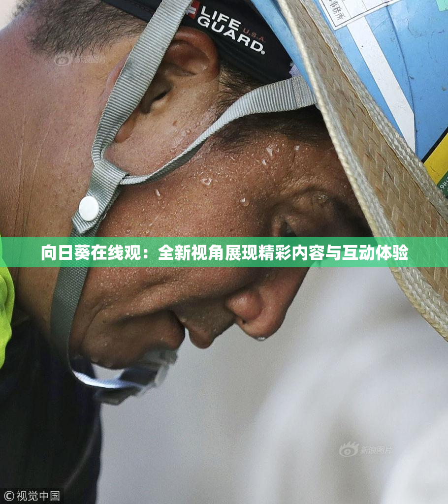 向日葵在线观：全新视角展现精彩内容与互动体验