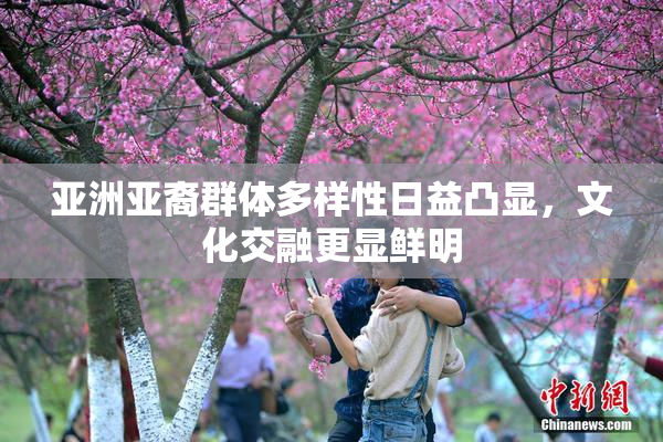 亚洲亚裔群体多样性日益凸显，文化交融更显鲜明