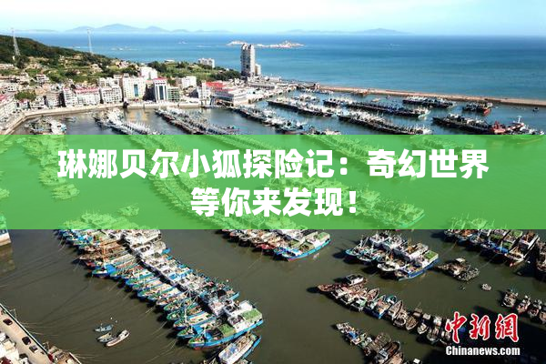 琳娜贝尔小狐探险记：奇幻世界等你来发现！