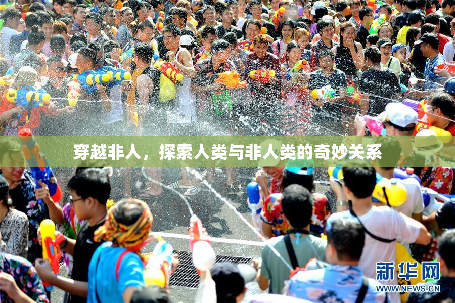 穿越非人，探索人类与非人类的奇妙关系