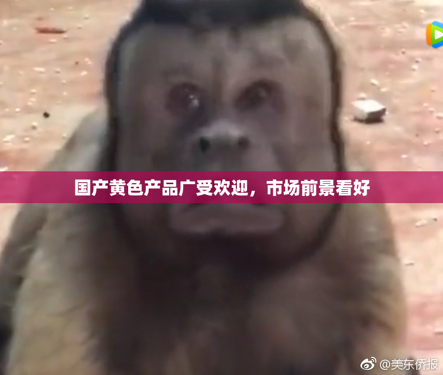国产黄色产品广受欢迎，市场前景看好