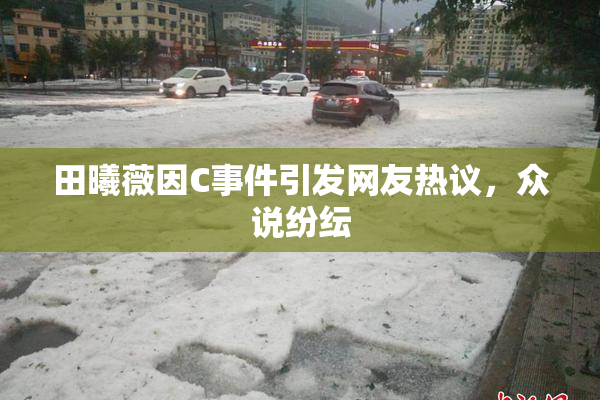 田曦薇因C事件引发网友热议，众说纷纭