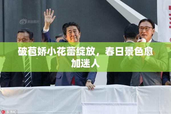 破苞娇小花蕾绽放，春日景色愈加迷人