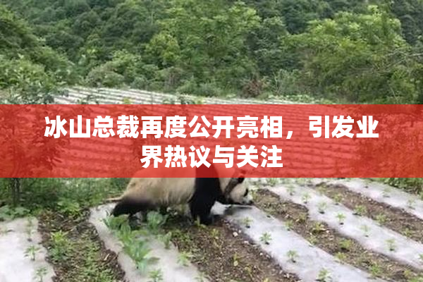 冰山总裁再度公开亮相，引发业界热议与关注