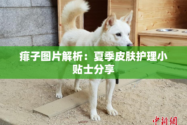 痱子图片解析：夏季皮肤护理小贴士分享