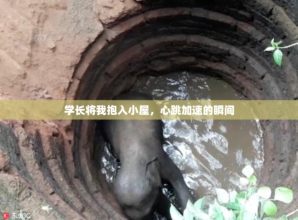 学长将我抱入小屋，心跳加速的瞬间