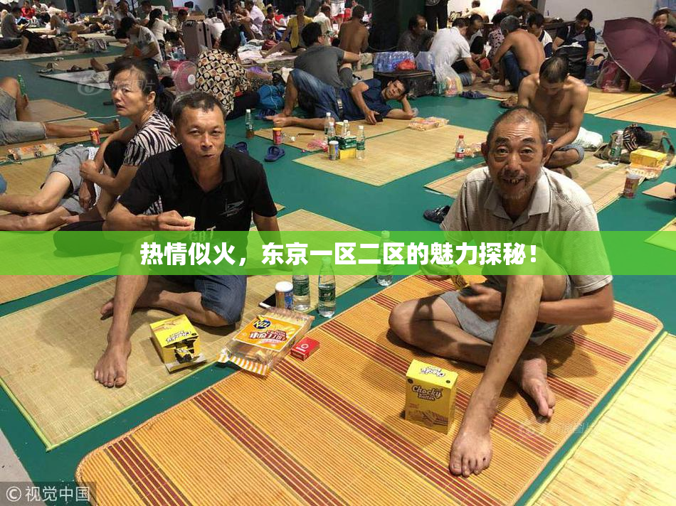 热情似火，东京一区二区的魅力探秘！