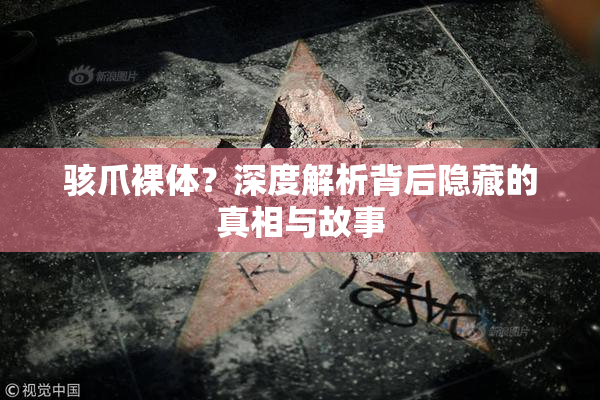 骇爪裸体？深度解析背后隐藏的真相与故事
